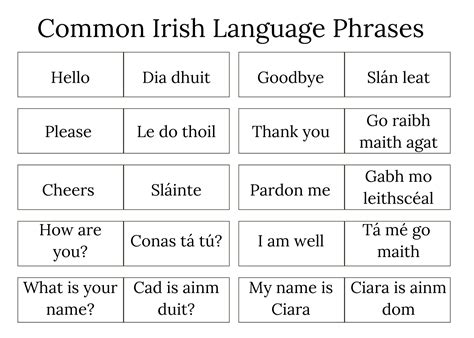 english irish dictionary|100 common irish words.